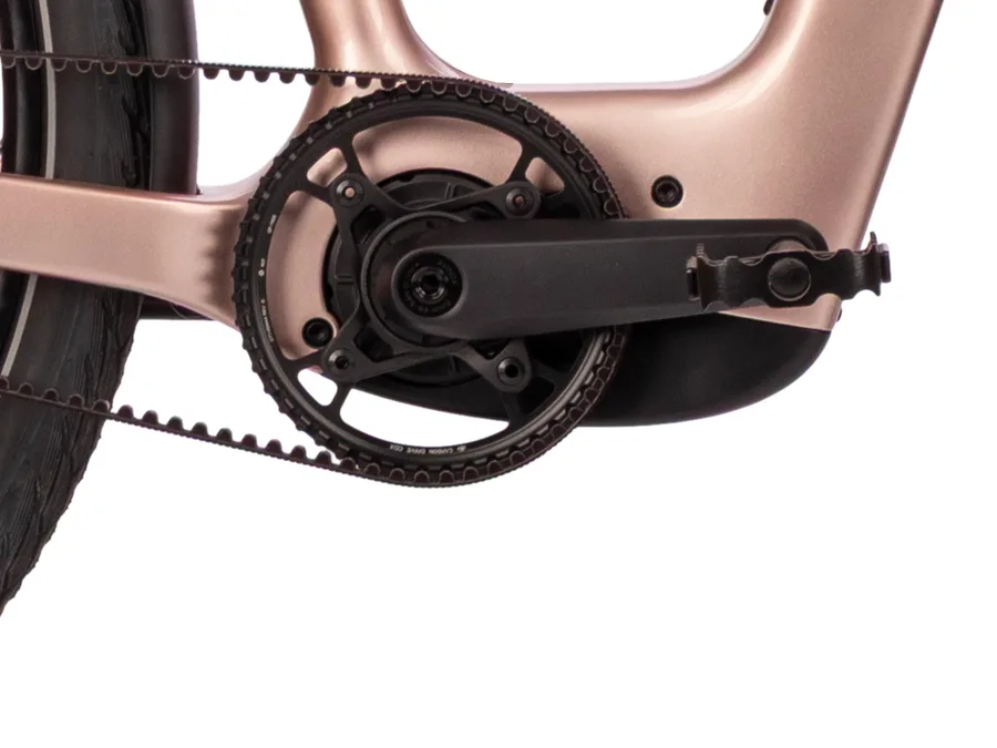 Avinox Antrieb – Motor und Gates Carbon Drive Riemen im Detail