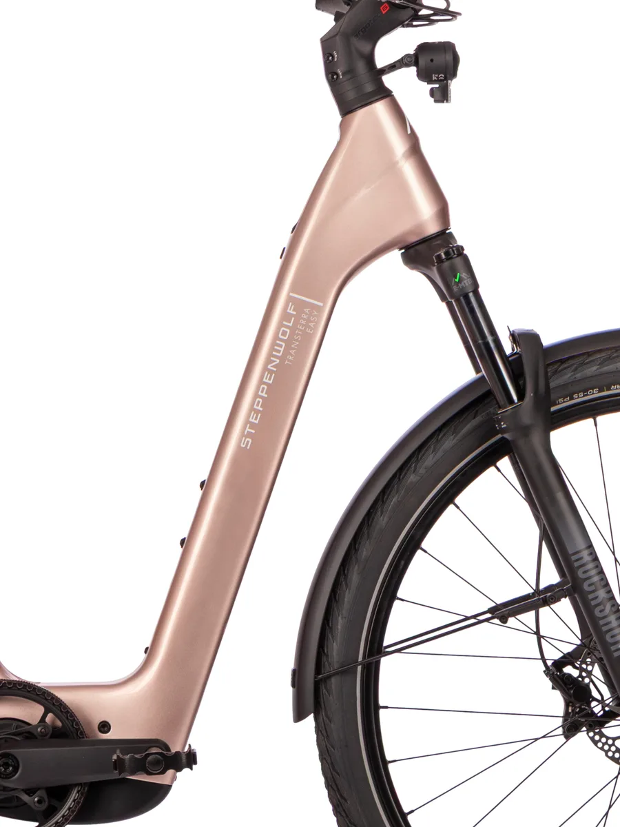 Carbon Wave Rahmen – Strukturdetail des Transterra Easy